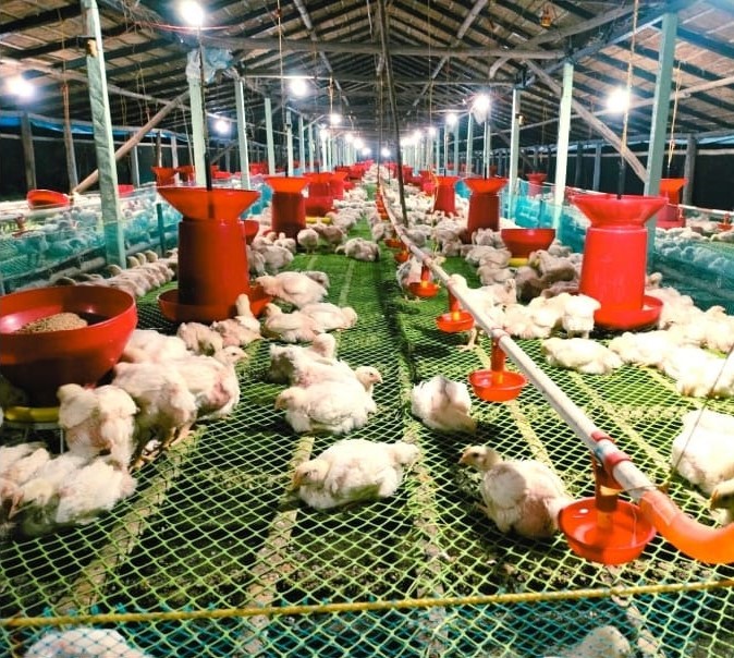 PVC Fencing Nets
